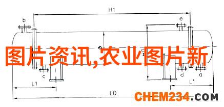 技术创新是不是提升农村养殖效率和盈利性的关键因素之一