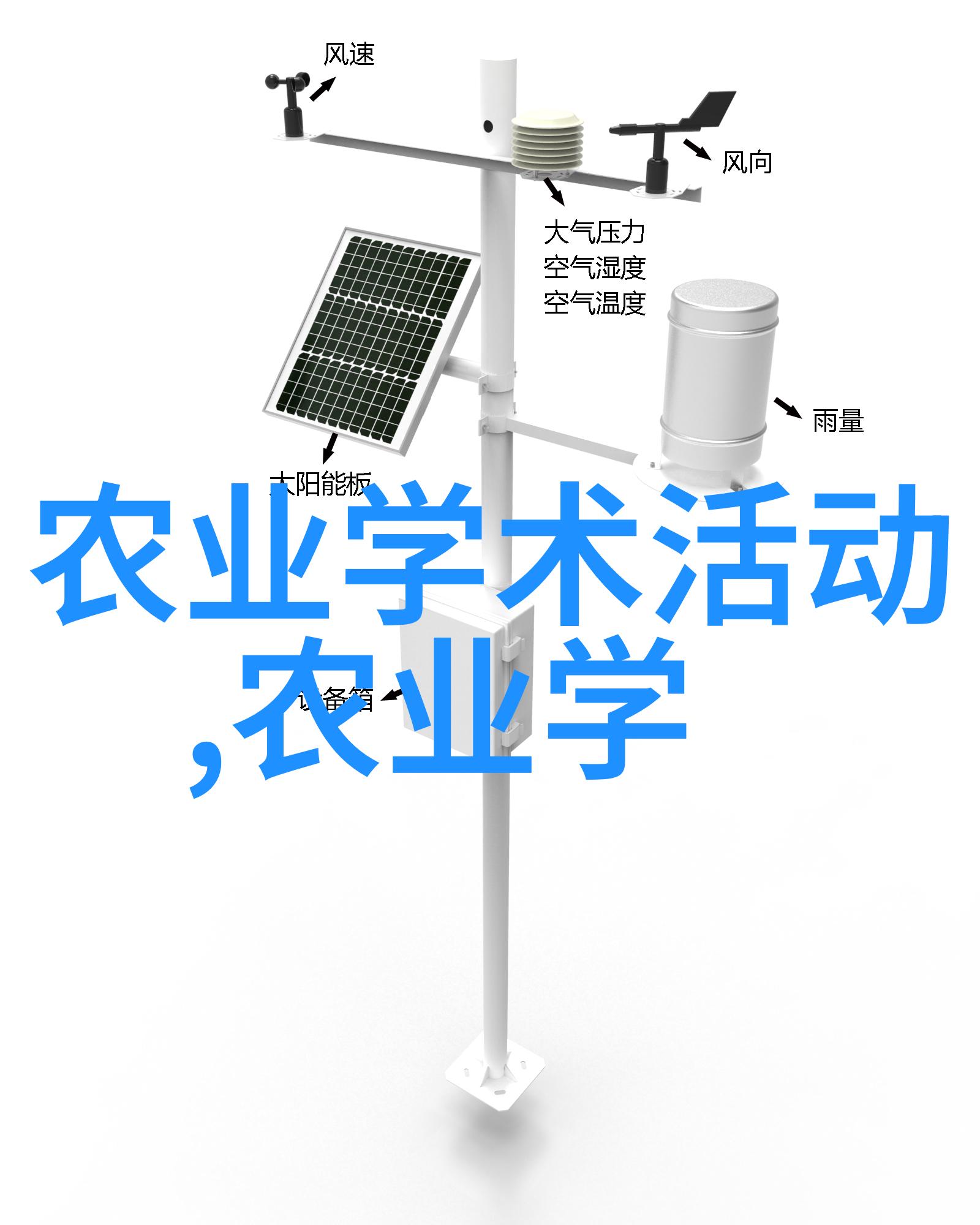 十字花科蔬菜营养价值解析