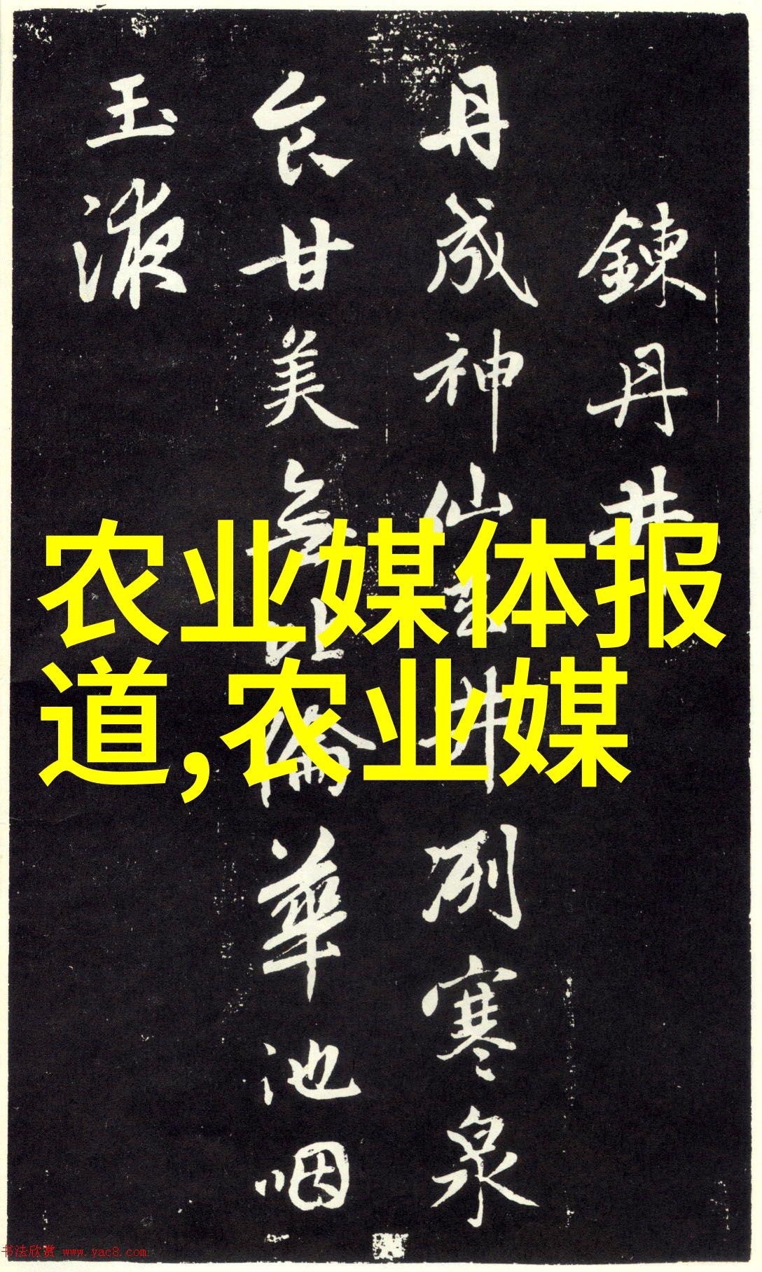 今日头条猫咪当选世界领袖人类要求更多的喵喵时间