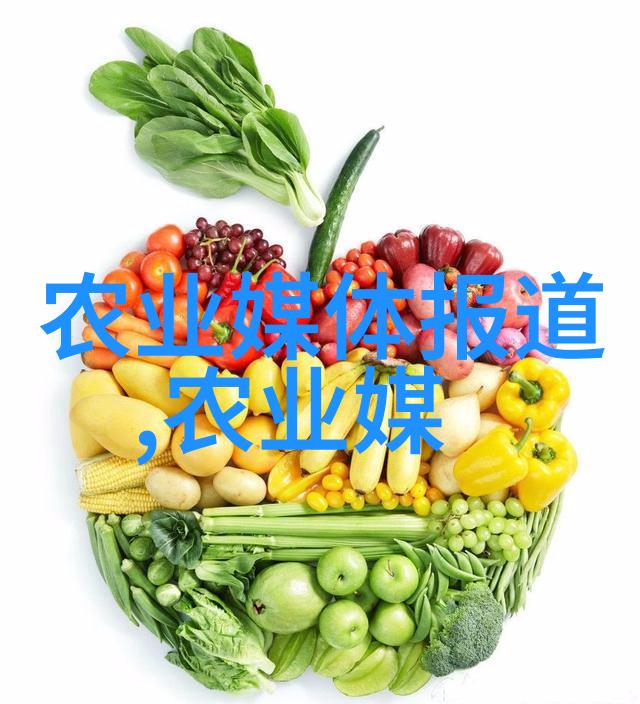 蚕豆种植大戏揭秘芥菜之王的演绎艺术