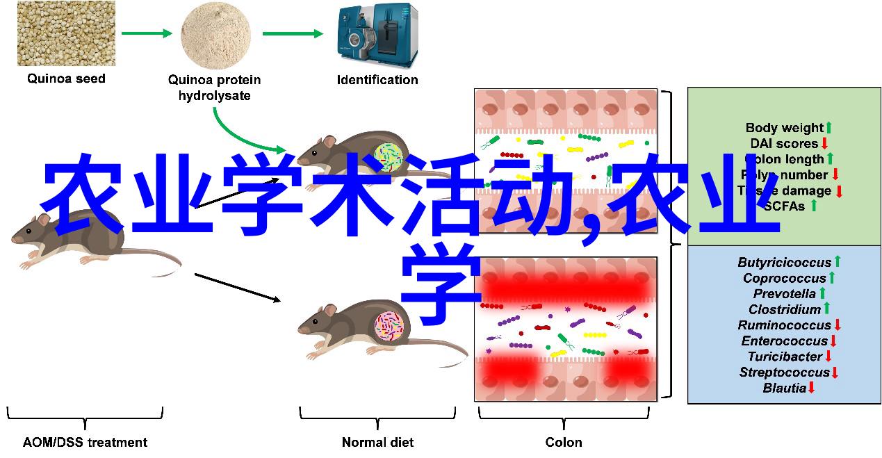 楼房喂狗粪便清理方法 鬃狮蜥蜴排泄物处理技巧