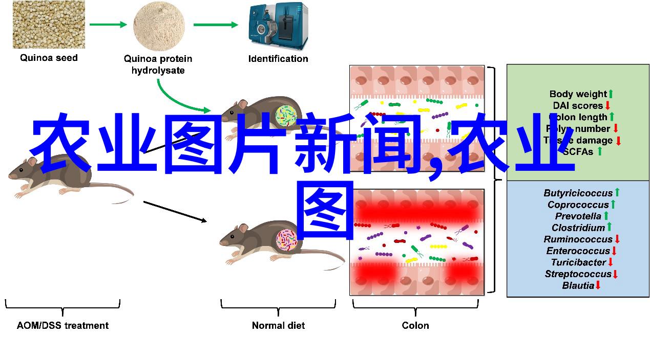 自然界中的竹鼠养殖技术与粪便堆肥和垃圾堆肥产生的肥料有何不同