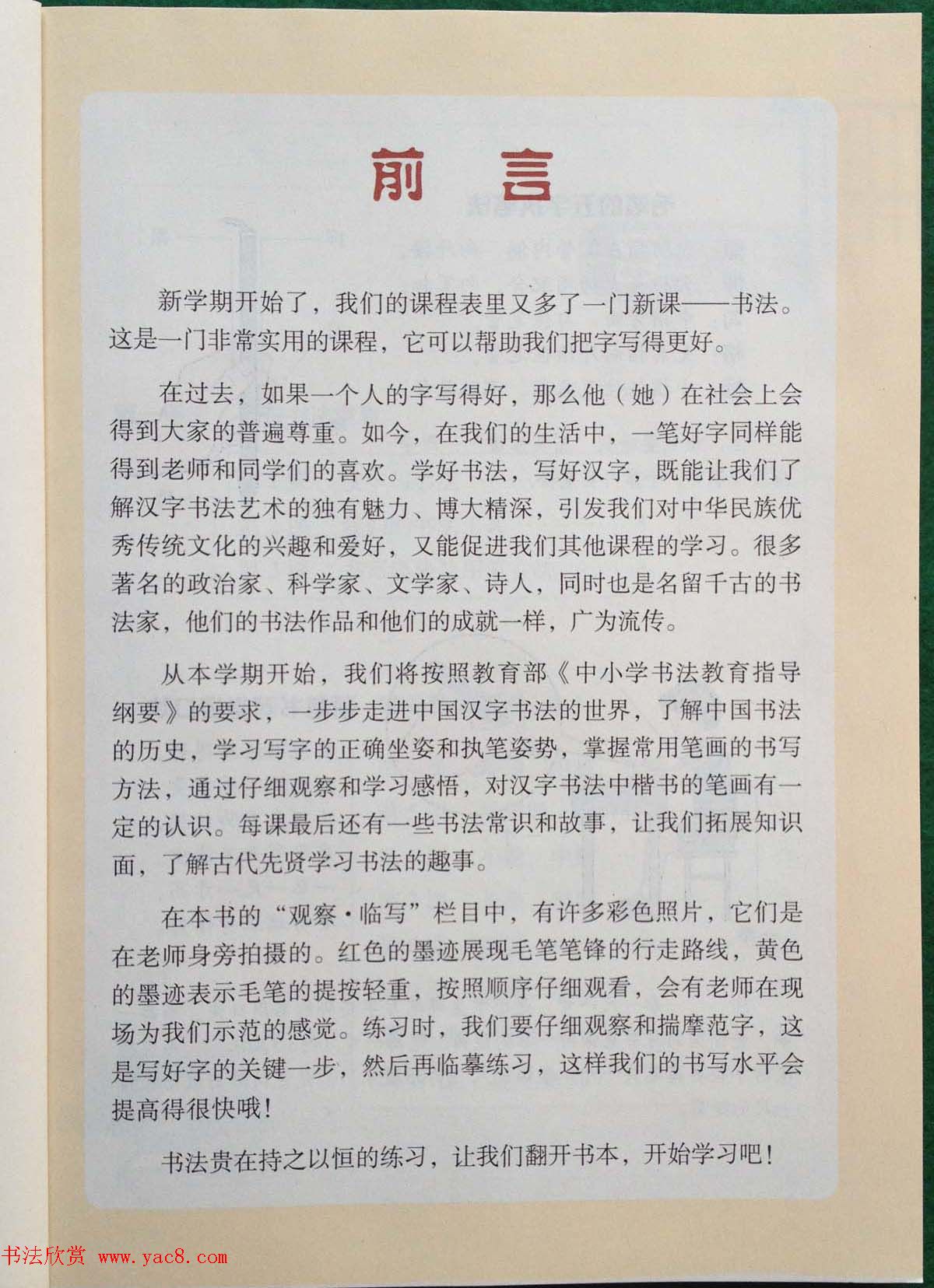 金线莲种植技巧解析从播种到成长的全程指导