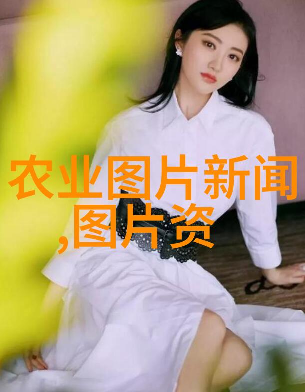 蜂蜜收集器高效无害的自然蜂蜜收集设备