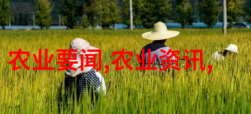 红麻种植一亩利润有多少旱半夏种植不遮阳产量高质量好