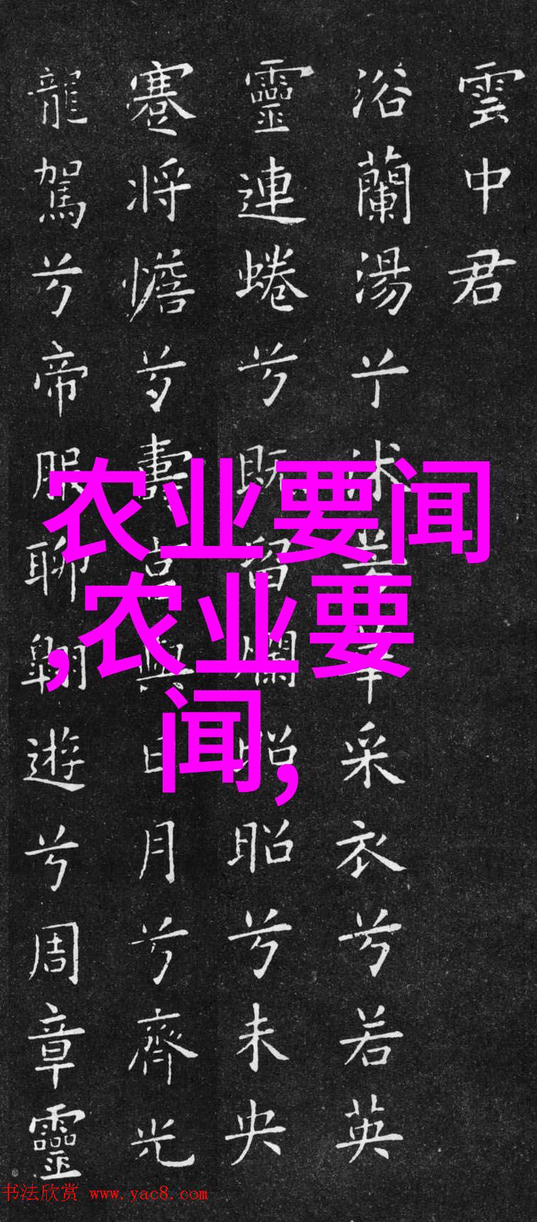 探究现代农业技术在小规模农户中应用的经济效益以建造二亩地大棚为例的成本分析