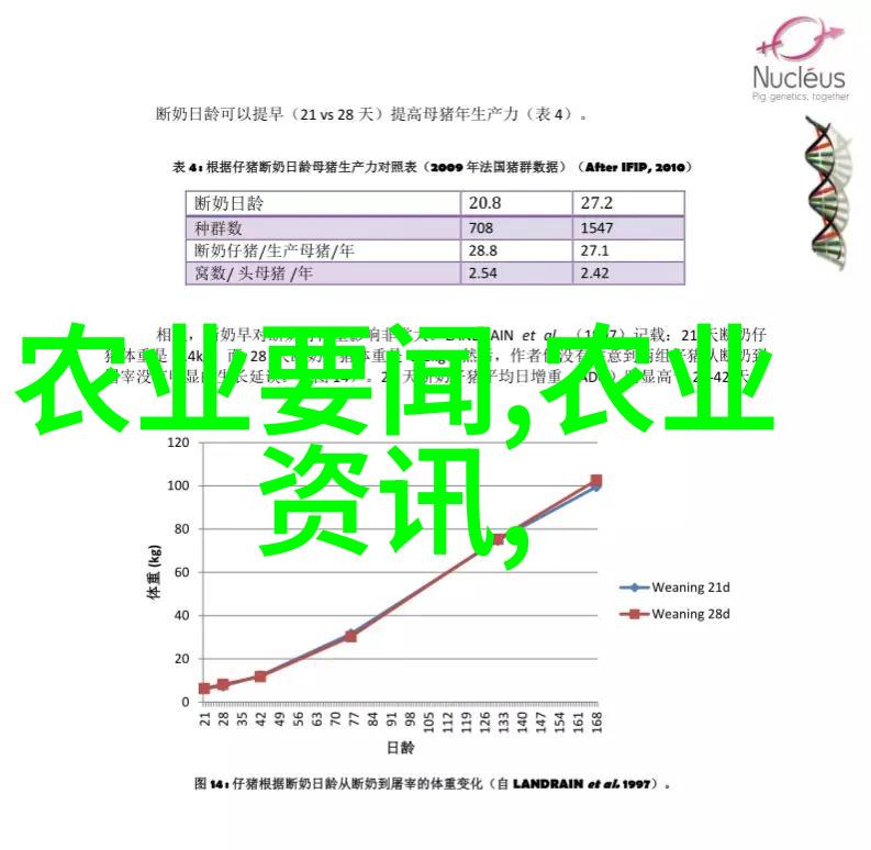 现代农村养殖业发展趋势优质蛋鸡养殖技术