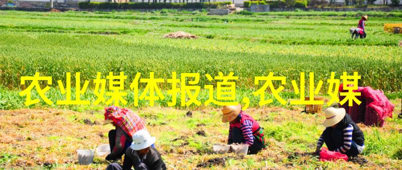 利润惊人揭秘冷门种植市场的10个高回报秘密花园