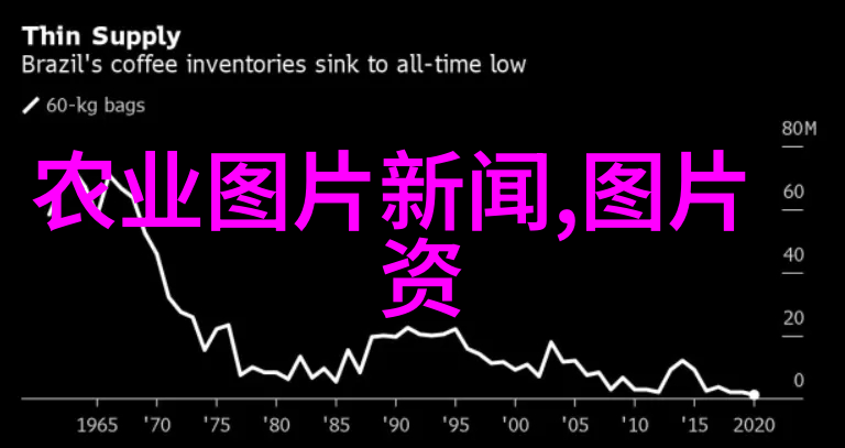 菌类文献探究揭开微生物世界的神秘面纱吗