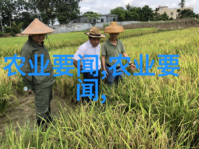 霜花店未删减版免费观看霜花店的完整版精彩内容