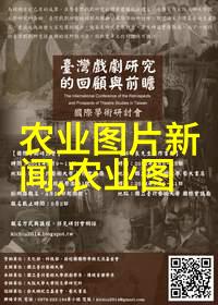 土地丰饶粮食丰收大规模种植的赚钱秘诀探究