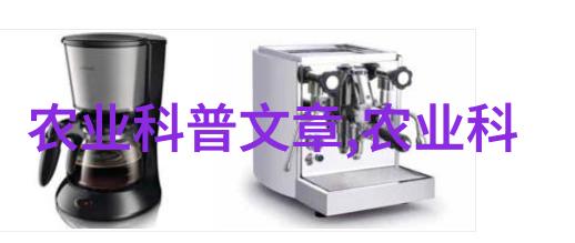 茶艺之美揭秘各式茶叶的独特形态与名字