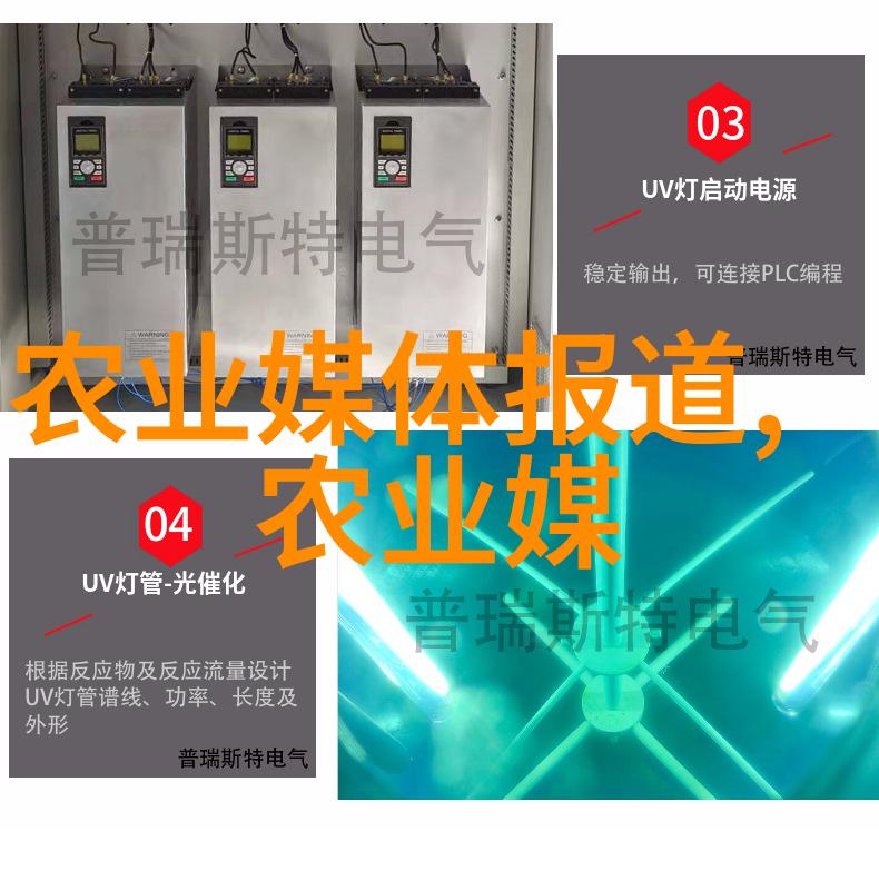 红枫林中的苗木繁茂仿佛在秋日阳光的照耀下烂漫如花3000亩的林海间映衬着丰富多样的种类