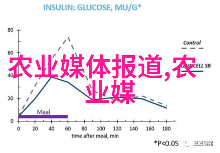 养蜜蜂的工具有哪些咱们一起来看看