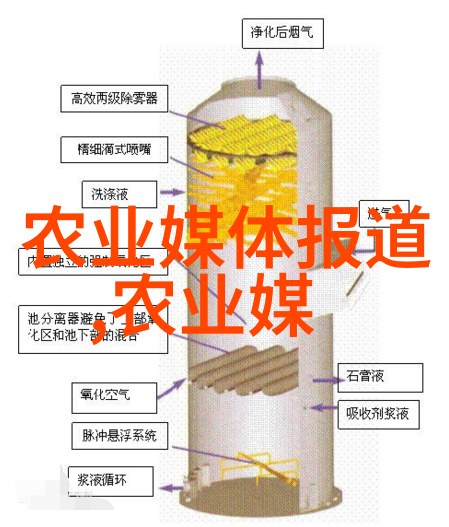 冬季蔬菜大棚的销路之谜寻找空心菜的市场花园