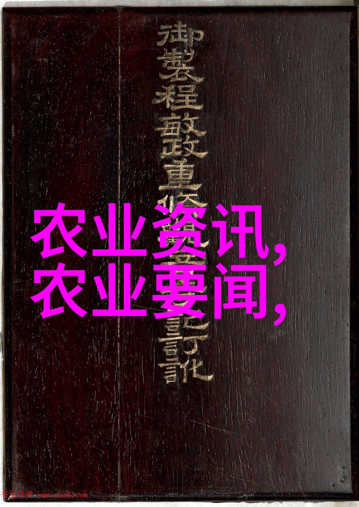 竹鼠养殖技术高效益利的现代化养殖方法