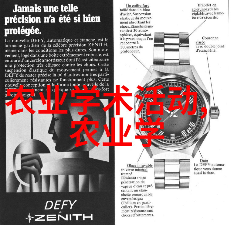 云南省新平县羊肚菌种植致富梦住房公积金缴纳政策助推梦想腾飞