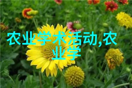 海上繁花番外之梦幻航线海上繁花的无限冒险