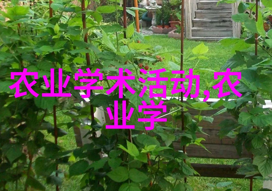 DIY生态园区创意阳台设计与水果种植技巧