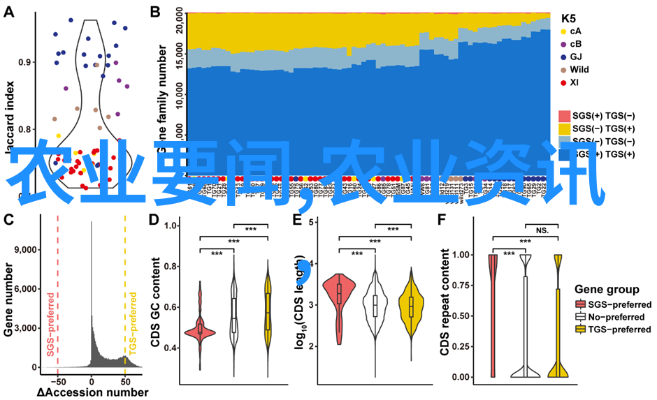 天地大变情仇重燃浩劫妙冤家背后的秘密