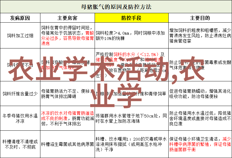 早春家庭阳台种菜盆上的蚕豆芽培育技术在自然中绽放