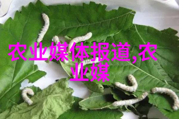 如何选择合适的材料以提高液压油缸的耐用性