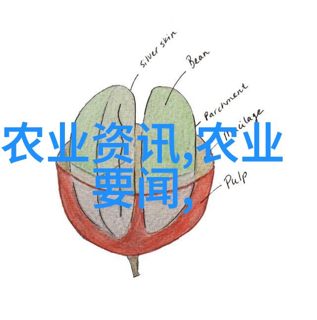 肉鸽养殖技术我来教你怎么把鸽子养得肥滚滚