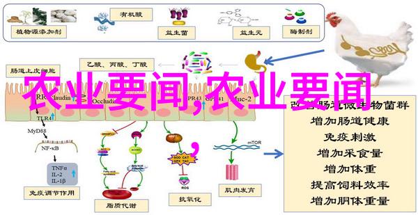 新征程揭秘2023年国家重点扶持的十大行业秘密