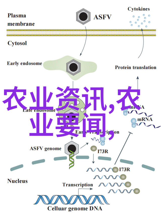 如何利用蜜蜂的自然分蜂