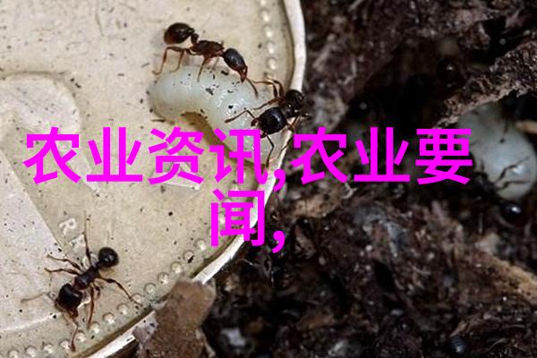 黄鳝养殖技术我是怎么把黄鳝养活大的