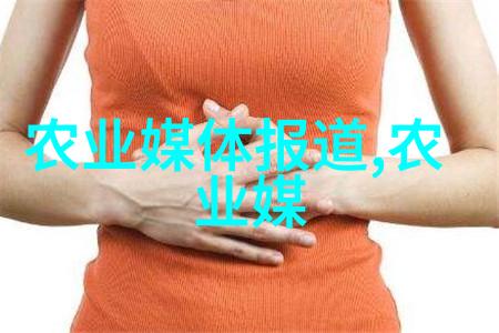 我是蜂友教你如何养殖野生蜜蜂