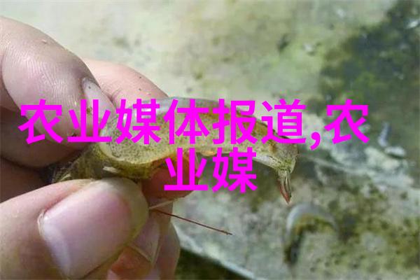 林志颖变身银发郎45岁的成熟魅力