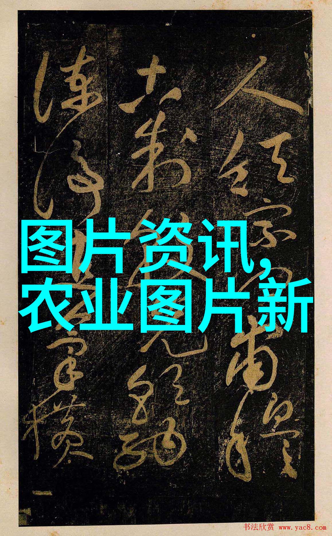 农村智库探索农村基础知识500题的奥秘与应用