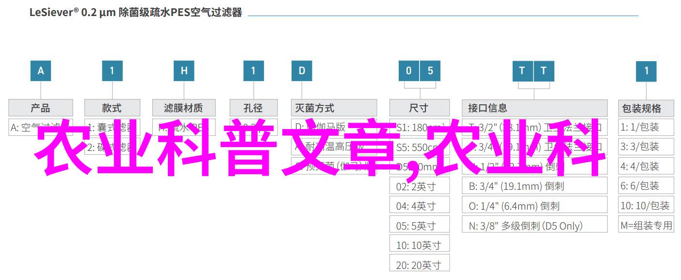 水下绿茵探究无土水培技术在蔬菜种植中的应用与潜力