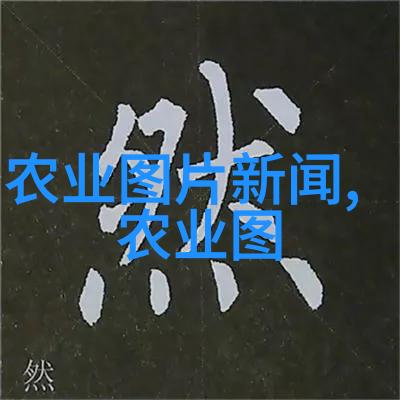 民法典物权法 - 物权的新篇章解读民法典中的财产关系