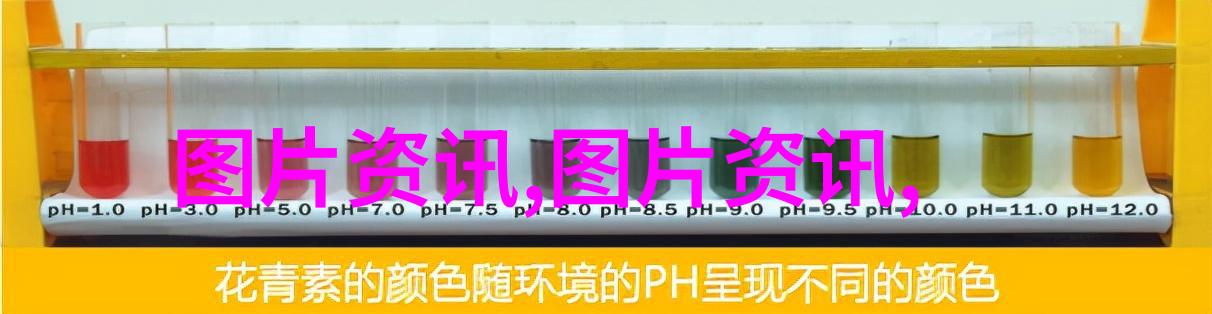 从自然到实验室现代科学研究对四棱豆的新发现