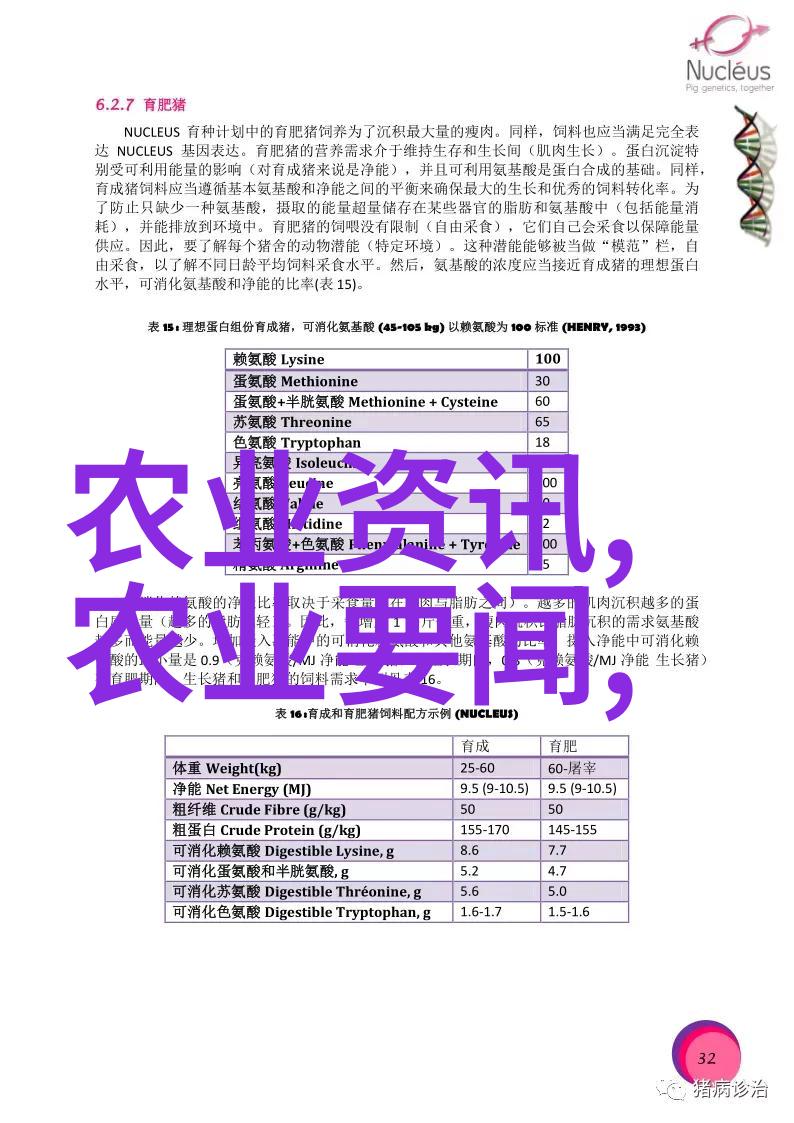 蜜蜂引诱大师养蜂知识和技术大全视频解密