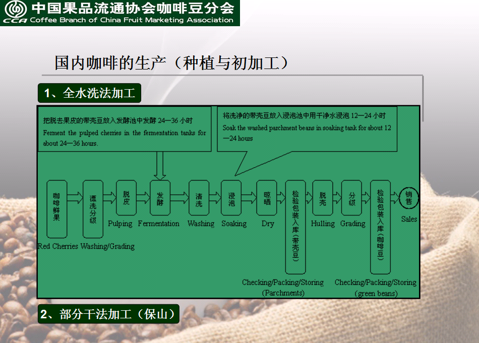 猪圈里的春天母猪种猪那里的好