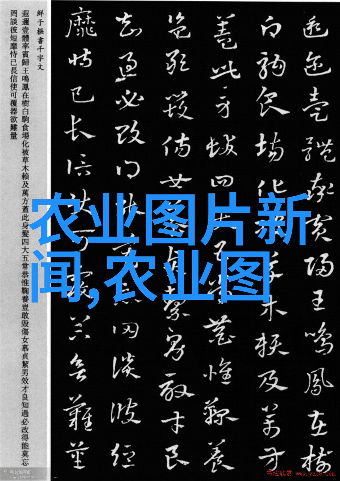 四川黄鳝养殖技术-黄鳝之恋探索四川高原养殖秘诀