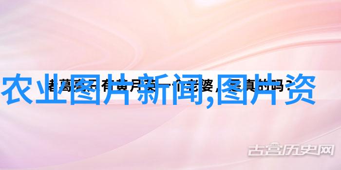 金钱龟养殖入门选择合适的品种与环境