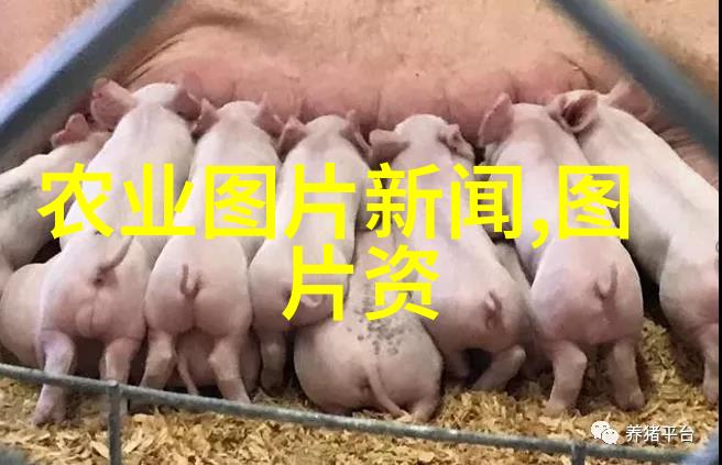 小东西几天没做怎么这么多水视频网络红人短视频内容充斥