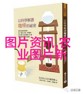 肉兔养殖技术精髓解析提升效益确保健康成长