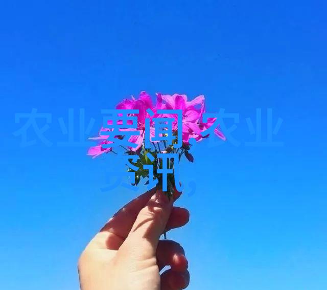 花海盛宴揭秘花卉市场批发的魅力与挑战