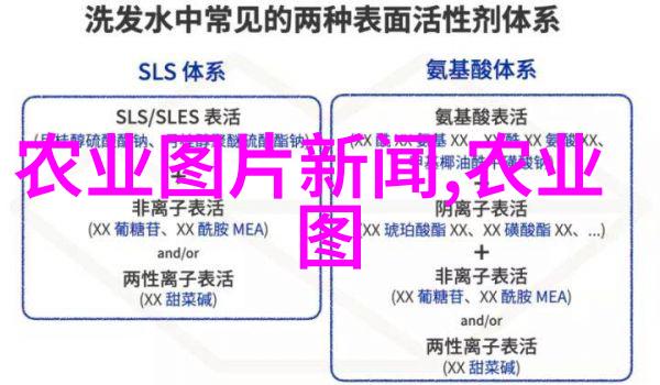 成都草莓苗批发市场品种繁多的红宝石之源