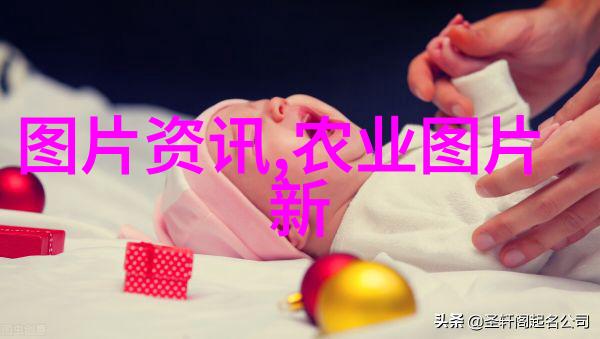 心灵修复双管齐发如何将心理健康与植物育成相结合