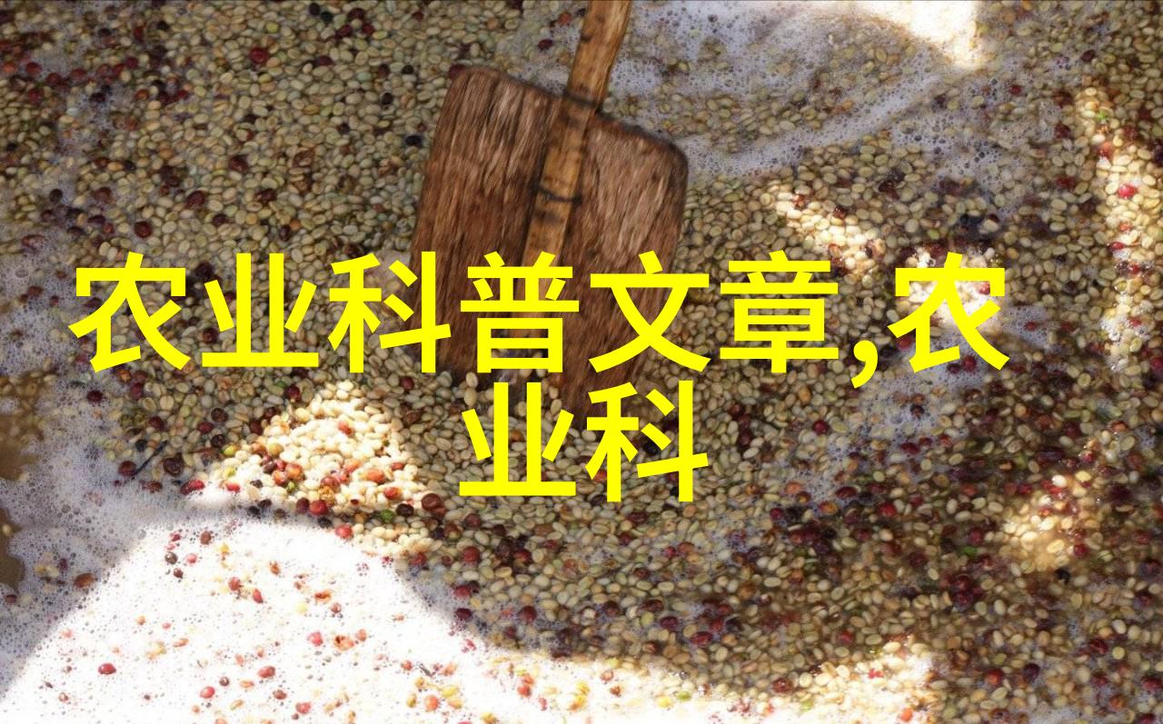 蜜蜂放在什么地方养最好亲测这10种最佳地点