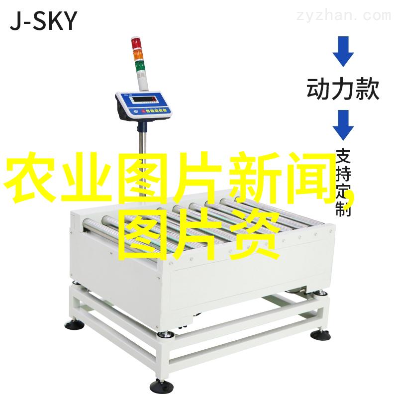 你是否知道有机竹笋种植技术与郁金香的种植方法和时间相比又有什么不同之处