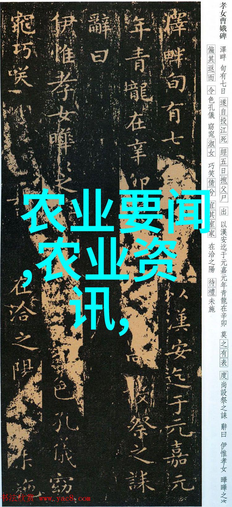 东北往事之黑道风云20年下载我这辈子见过的风云变幻