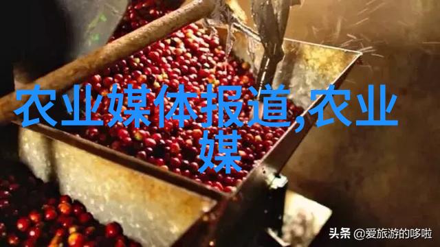 小蜜蜂养家指南解密蜜蜂饲养的秘诀与技巧