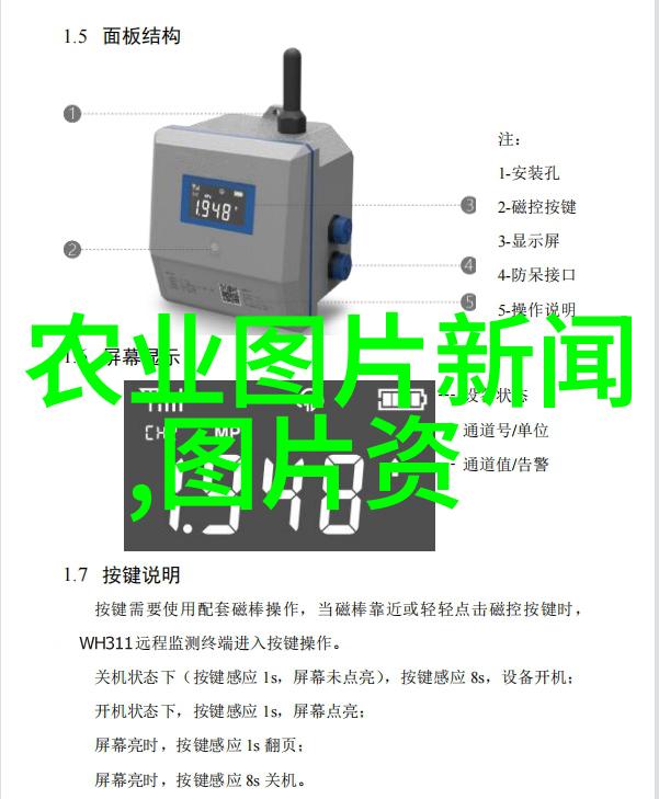 培育幼年泥鳅到成熟个体需要遵循哪些步骤